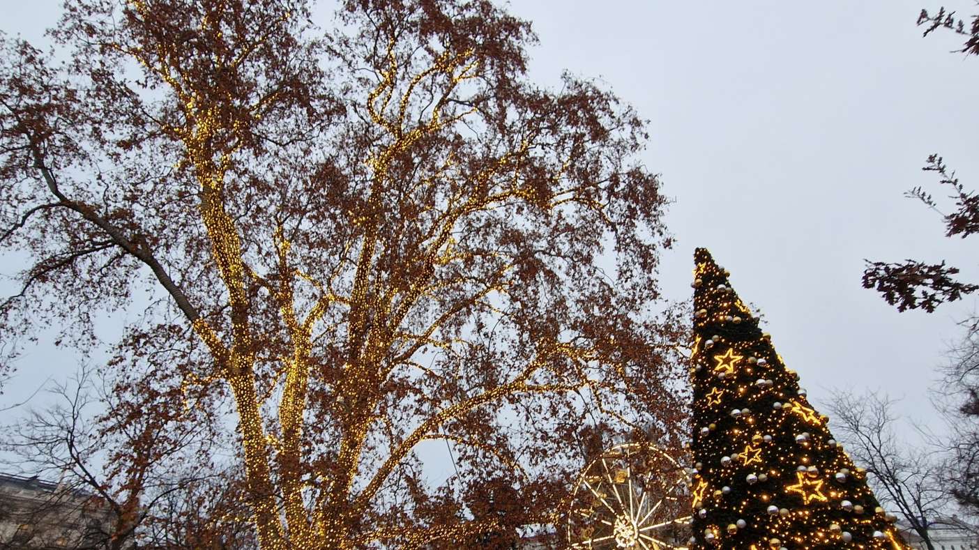 Karácsonyi várakozás gyász és veszteség idején