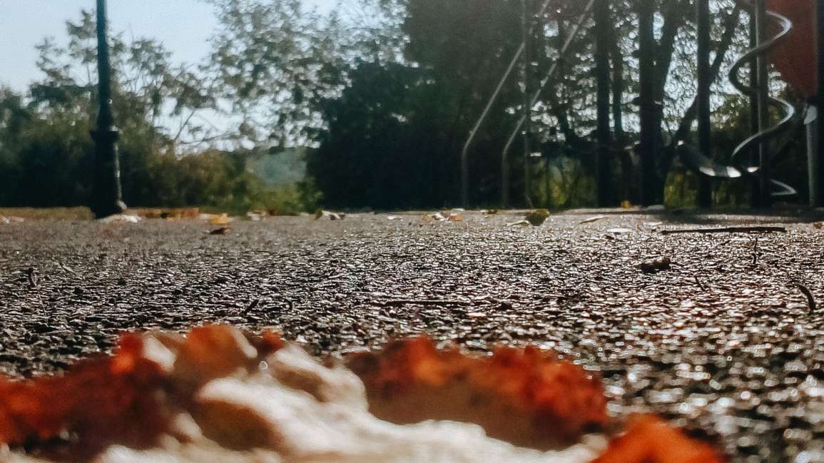 Az ősz beköszöntével a természet is lassításra hív minket